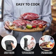 Precision Immersion Cooker Pro